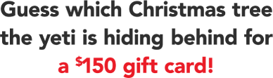 Guess which Christmas tree the yeti is hiding behind for a $150 gift card!