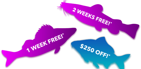 2 WEEKS FREE!* 1 WEEK FREE!* $250 off!*